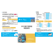 2025客户满意度调查报告 