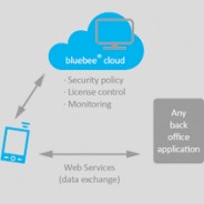 Using bluebee® for commissioning support