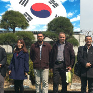 Entering new markets with partners: experience of Korea