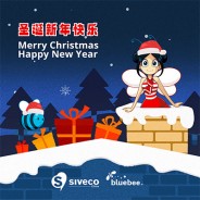A Merry Christmas from the Siveco China team!